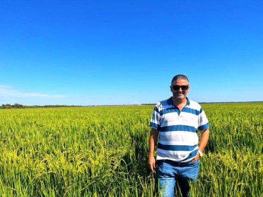 Un golpe letal para los arroceros