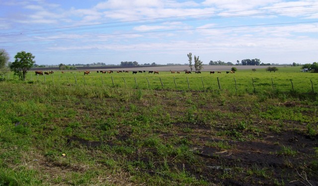 El Gobierno entrerriano postergó por dos semanas el vencimiento del Inmobiliario Rural