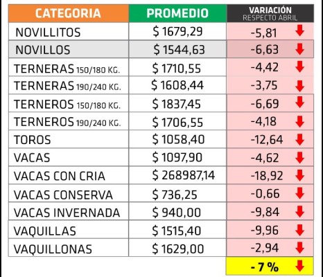 En mayo la hacienda en pie tuvo valores en retroceso en todas las categorías