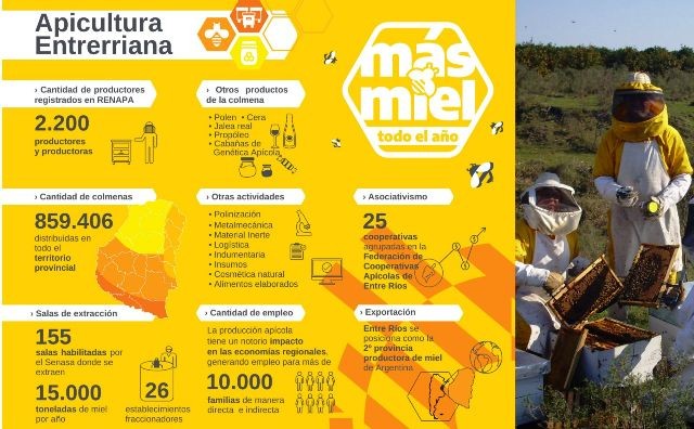 Este 5 de junio se celebra el Día de la Apicultura Entrerriana