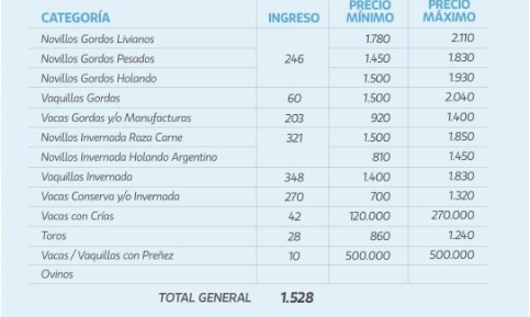 Plaza sostenida en el remate de La Ganadera en Ramírez