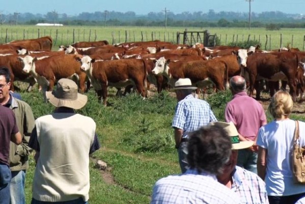 El Gobierno suma incentivos para una producción sustentable