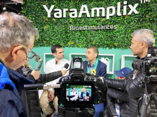 YaraAmplix, la línea de bioestimulantes de vanguardia