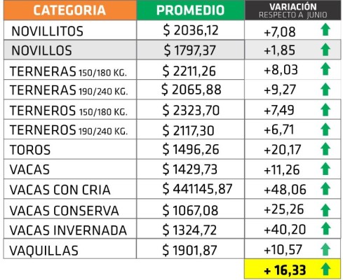 El fuerte aumento de las vacas disimuló los precios deprimidos de las categorías de consumo