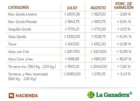 Valores positivos para la mayoría de las categorías en los remates de La Ganadera en agosto