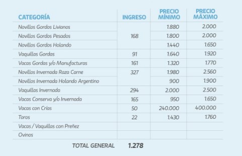 Plaza firme en el remate de La Ganadera en Ramírez