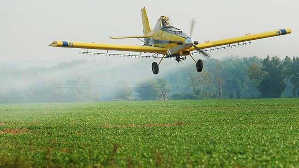 Ambientalistas cuestionan lo que llaman fumigación exprés