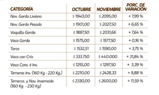 En noviembre se registraron valores positivos para todas las categorías en los remates de La Ganadera