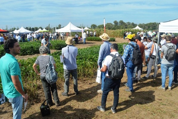 Redescubrir la agrobiología, la propuesta de EnBio 2025