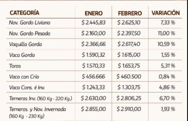 Febrero registró valores positivos para todas las categorías en los remates de La Ganadera